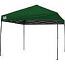 10 x 10 Ez-up Green Canopy 10 x 10 Ez-up Green Canopy