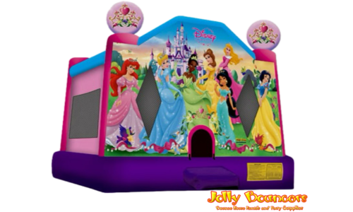 13 X 13 Disney Princess NJ #TB65 13 X 13 Disney Princess NJ #TB65