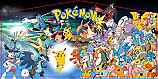 Pokemon Panel Pokemon Panel